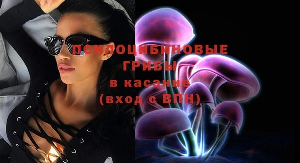 jwh Белокуриха