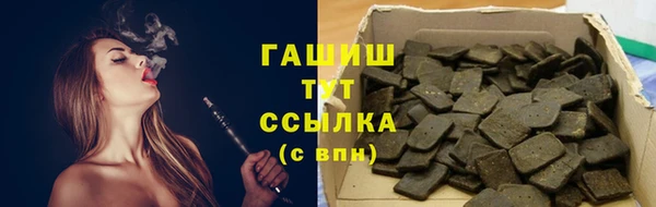 стаф Богданович