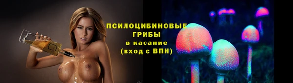 jwh Белокуриха